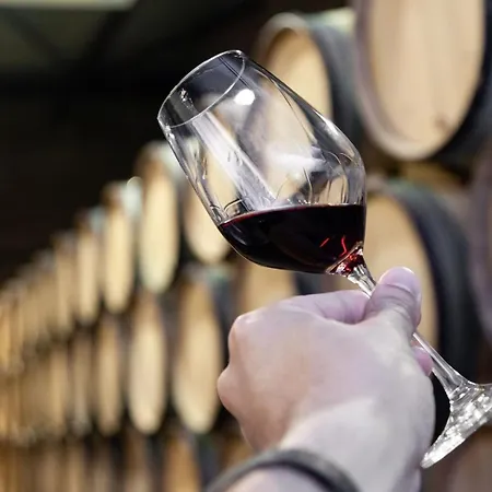 Holidays By Douro River Lejlighed *